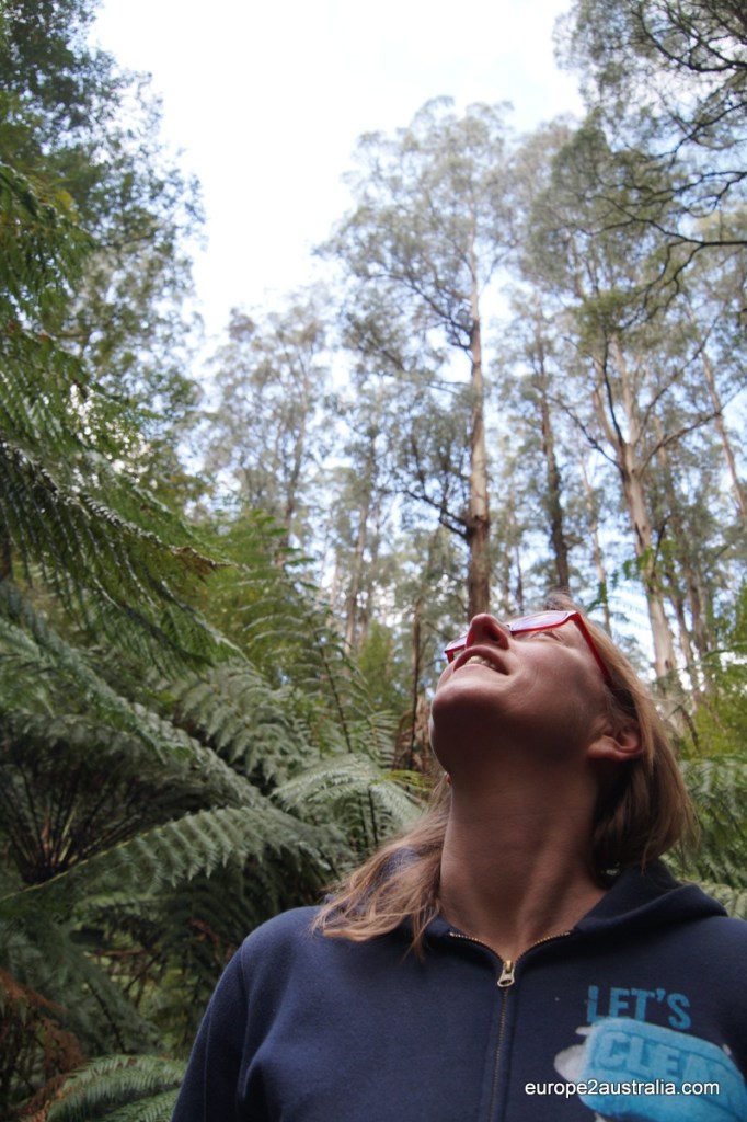 Hiking the Danderong Mountains