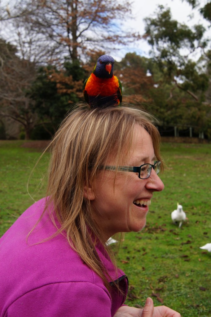 nature_willemijnbird