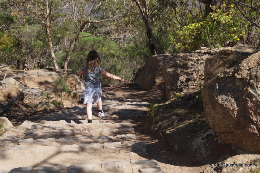 Hiking the Flinders peak walk