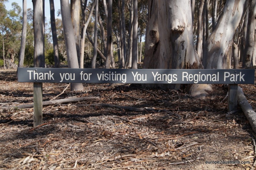 Goodbye You Yangs