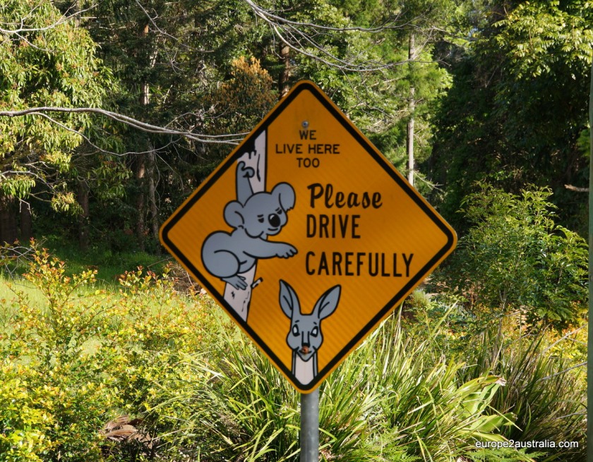 Koala sign