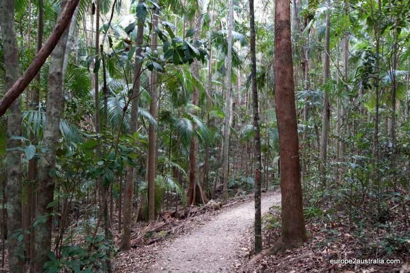 Hinterland Sunshine Coast