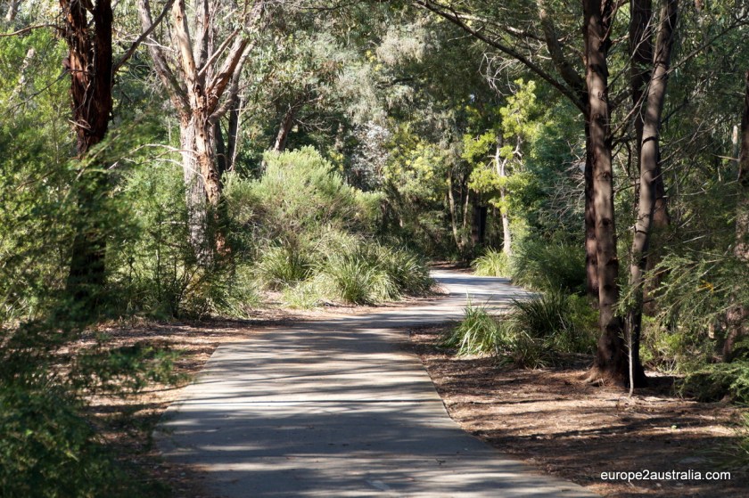 Luckely the trail makes up for that.