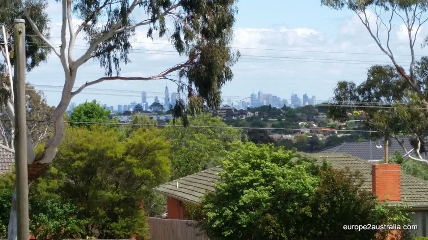 From here you can see the city center through the trees.