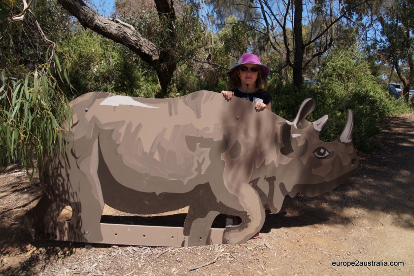 Luka behind rhino