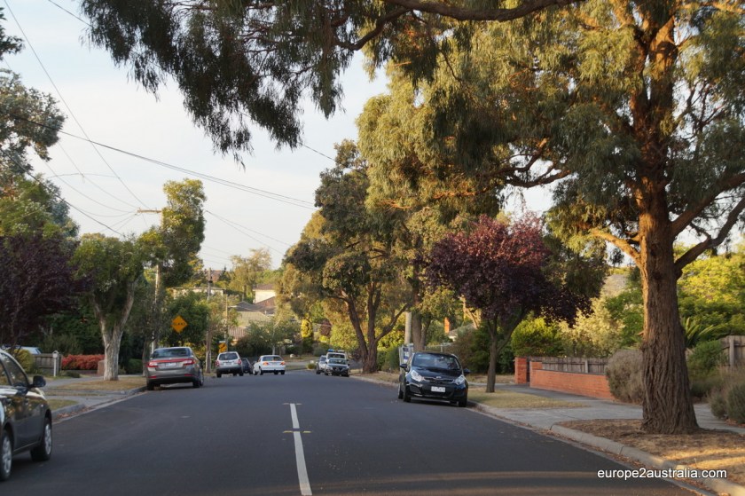 Trees line the streets.