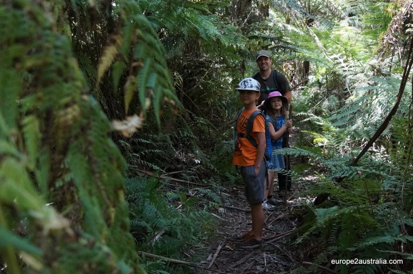 The first section of the walk went through some pretty dense forest.