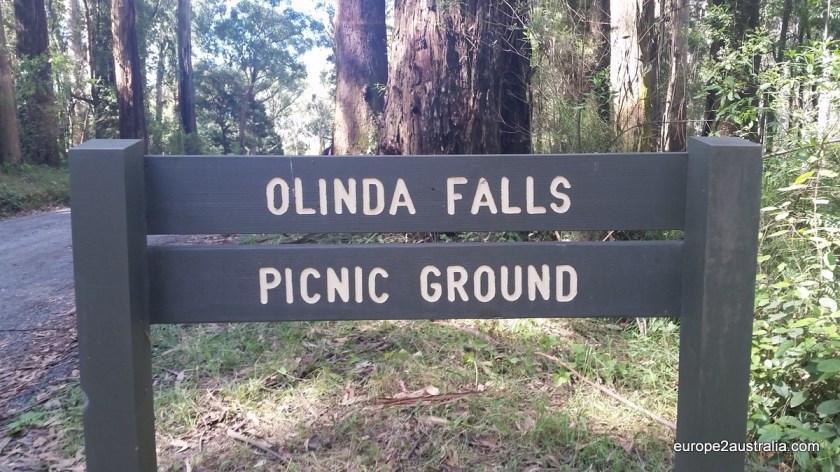 We're back to the Dandenongs, this time at Olinda falls.