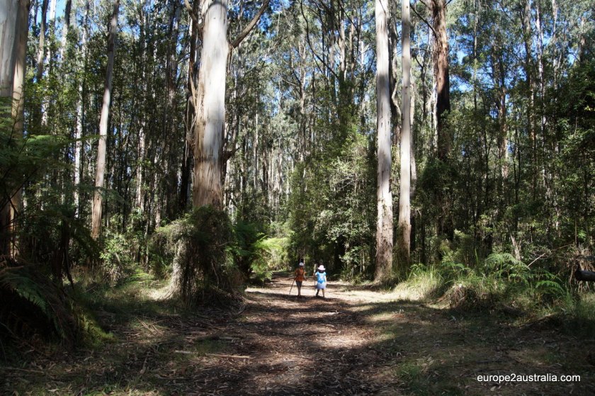 One step at a time, even the steepest hill is manageable.