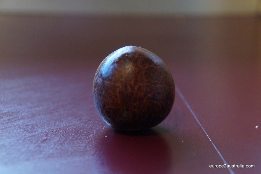 Step 1: Get the Avocado pit out of the fruit and clean it.