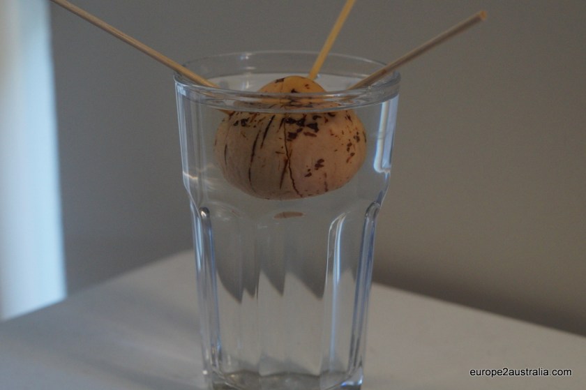 There is nothing to see.