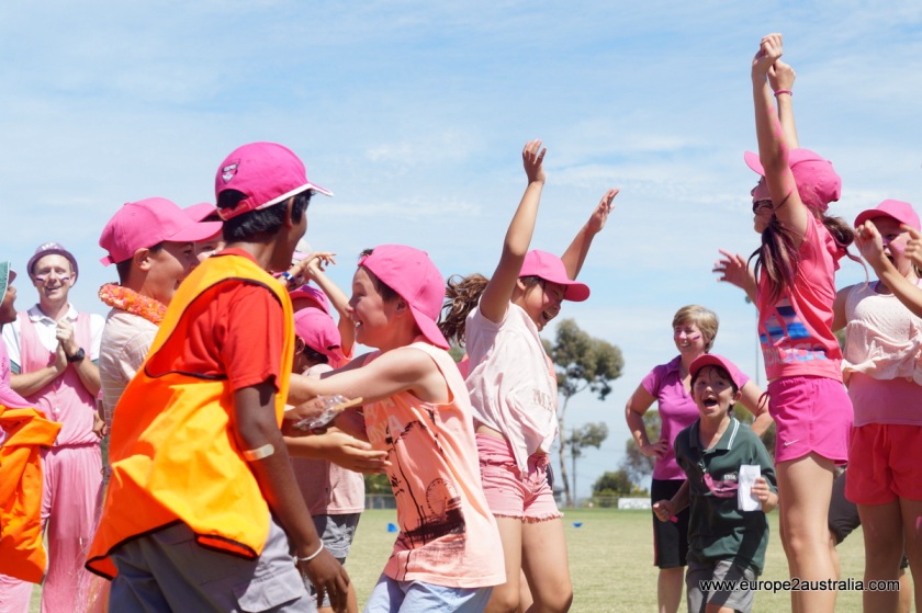 excitement-grade-six-won-pink-stump-day-cricket-match