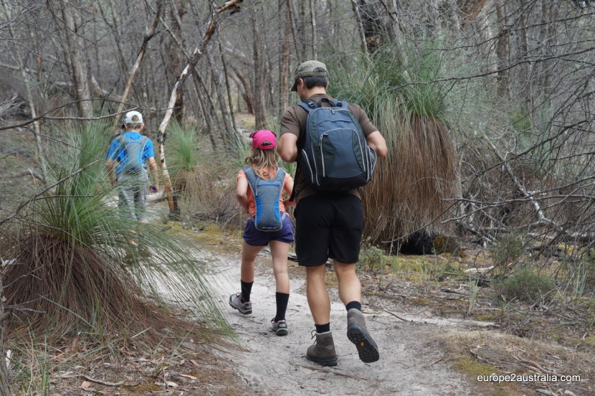 The forest is pretty dense throughout.