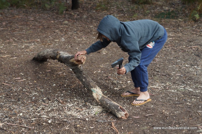 Collect firewood from the surrounding forest. Hack into manageable chunks. 