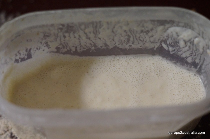 making-sourdough-starter