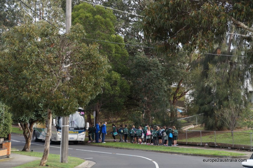 bus-to-the-district-cross-country