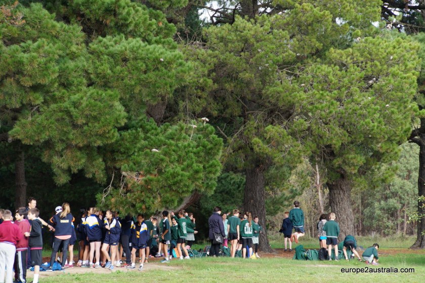 essex-heights-kids-gathering-under-the-tree