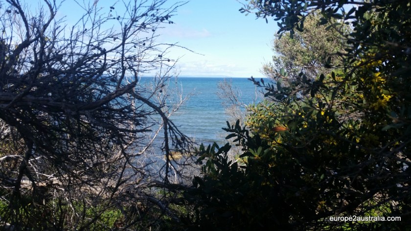 A first glimpse of the ocean.