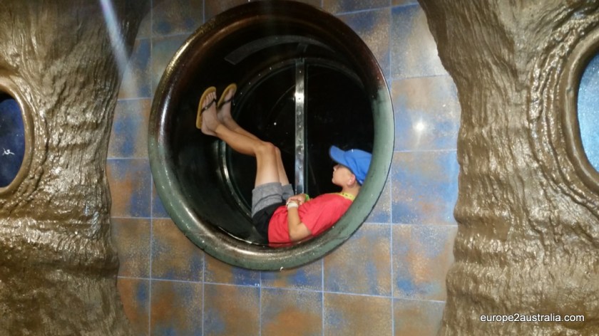 Kai lounging in a window in the 