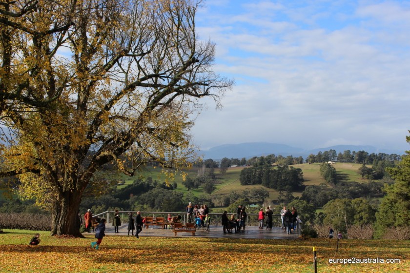 yarra-valley