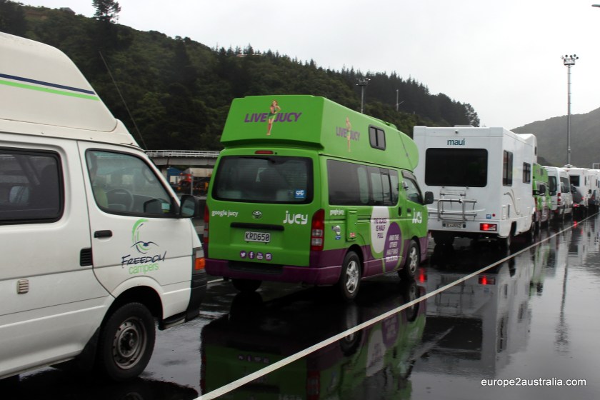 A line of who-is-who of the camper-van rentals waiting for the Interislander.