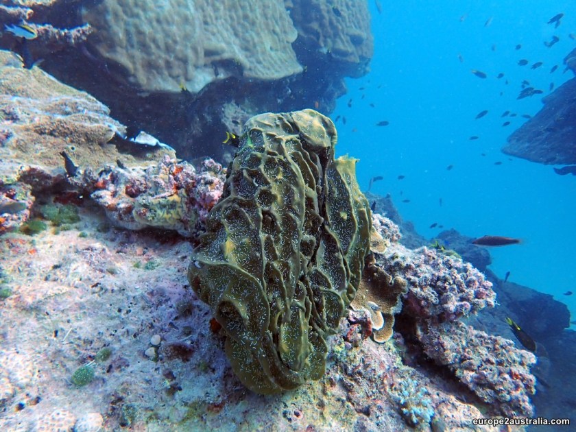 Some very striking ones...