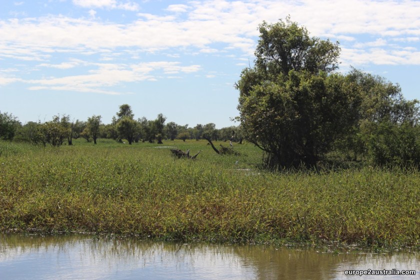 And the wetlands on either side of the river held their own beauty.